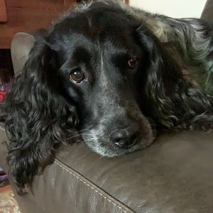 Meet your Posher, Brett